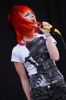 paramore_250807_22_version5.jpg