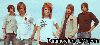 testingparamore.gif